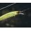 Shimano BT World Minnow Flash Boost 115mm/17g 011 Kyorin CN