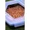 Zebco Secure-Lock Bait Box and Sieve 2L