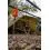 Fox Easy Brolly 60