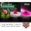 ZFISH Dip Bait Attractant 60ml Mango-Cherry