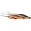 Westin SHADTEEZ PIN-TAIL 11cm/3.5g Lime Chartreuse 2x