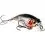 Westin BUZZBITE SR CRANKBAIT Low Floating 4cm/4g Official Roach