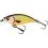 Westin BUZZBITE SR CRANKBAIT Low Floating 4cm/4g Official Roach