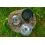 Fox Cookware 3 Piece Cook Set