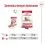 Royal Canin Medium Ageing 7+ konzerv 6 x 410 g