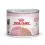 Royal Canin Mother & Babycat Instinctive p&aacute;st&eacute;tom szoptat&oacute;s macsk&aacute;k &eacute;s cic&aacute;k sz&aacute;m&aacute;ra 6 x 195 g
