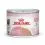 Royal Canin Mother & Babycat Instinctive p&aacute;st&eacute;tom szoptat&oacute;s macsk&aacute;k &eacute;s cic&aacute;k sz&aacute;m&aacute;ra 12 x 195 g