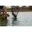 Preston Carp XS Landing Net 20" 50cm