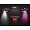 Delphin QUEEN 3W/115lm/1200mAh