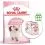 Royal Canin KITTEN 10 kg + 12 alutasak GR&Aacute;TISZ