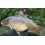 Dynamite Baits HOT FISH & GLM Boilies 1kg/26mm