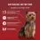 Purina ONE Mini Dog Adult tasakos eledel kuty&aacute;knak csirke, marha, b&aacute;r&aacute;ny szaftban 10x85 g