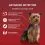 PURINA ONE MINI Dog Active Marhah&uacute;s &eacute;s kacsa l&eacute;ben 10 x 85 g