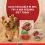 PURINA ONE MINI Dog Active Marhah&uacute;s &eacute;s kacsa l&eacute;ben 10 x 85 g