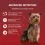 PURINA ONE MINI MINI Dog Sensitive lazac l&eacute;ben 10 x 85 g