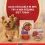 PURINA ONE MINI MINI Dog Sensitive lazac l&eacute;ben 10 x 85 g