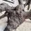 WIO Black Tree Trunk Wood &ndash; akv&aacute;riumi fa M