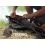 ZFISH Z-CORE 2 Rods Holdall 10ft/165cm