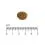 Eminent Selection Adult Cat Poultry 10+4 kg GR&Aacute;TISZ