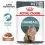 Royal Canin Hairball Care Gravy sz&oacute;szos tasak macsk&aacute;knak 24 x 85 g