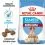 ROYAL CANIN MEDIUM STARTER Mother & Babydog - 4kg