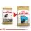 ROYAL CANIN YORKSHIRE JUNIOR t&aacute;p 7,5 kg