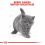 Royal Canin British Shorthair Kitten 400g