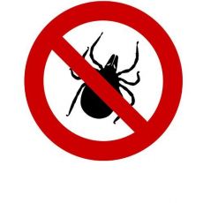 Élősködők elleni szerek macskáknak - Black Friday