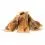 R&aacute;g&oacute; &iacute;z&uuml;letek kuty&aacute;k sz&aacute;m&aacute;ra MEDITERRANEAN NATURAL Serrano Ham Knuckles