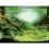 Akv&aacute;riumi h&aacute;tt&eacute;r PLANTS/OCEANS XL - 150 x 60cm