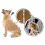 BEAPHAR IMMO SHIELD KUTYA &bdquo;S&ldquo; 3 x 1,5ml