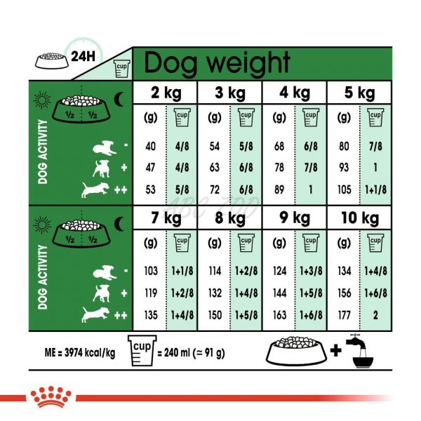 ROYAL CANIN MINI ADULT +8 - 8 kg