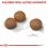 ROYAL CANIN MEDIUM Digestive Care 3kg