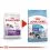 ROYAL CANIN GIANT STARTER M&B 15kg
