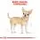 ROYAL CANIN ADULT CHIHUAHUA 1,5 kg