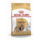 ROYAL CANIN ADULT SHIH - TZU 1,5 kg
