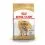 ROYAL CANIN ANGOL BULLDOG 3 kg