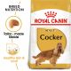ROYAL CANIN COCKER SPANIEL 3 kg