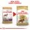 ROYAL CANIN COCKER SPANIEL 3 kg