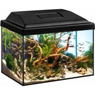 Akvárium DIVERSA STARTUP SPLASH 12L + 3W LED