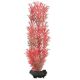 Tetra rastlina - Red Foxtail M, 23cm