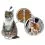 BEAPHAR IMMO SHIELD Line-on MACSKA 3 x 1 ml