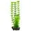 Limnophila sessiliflora ( Ambulia) - n&ouml;v&eacute;ny akv&aacute;riumba Tetra 30 cm