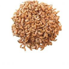 Eleség terráriumi állatoknak és vitaminok - Black Friday