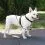 PetSafe 3 in 1 Harness and Car Restraint kutyah&aacute;m "S"