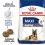 ROYAL CANIN MAXI Ageing 8+, 15 kg