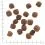 WOLFSBLUT Wild Duck 2 kg
