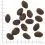 WOLFSBLUT Wild Pacific 2 kg
