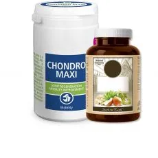Kutya vitaminok