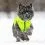 AiryVest Colar mell&eacute;ny narancss&aacute;rga-z&ouml;ld, M 45
